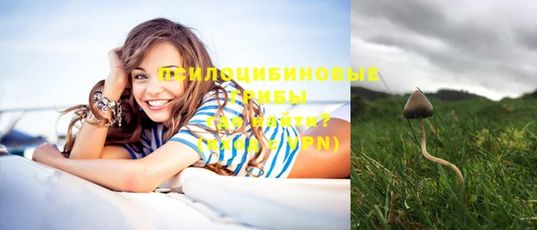 первитин Пересвет