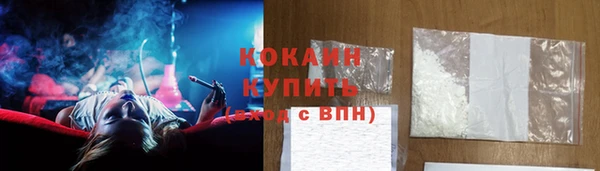 индика Армянск