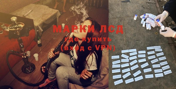индика Армянск