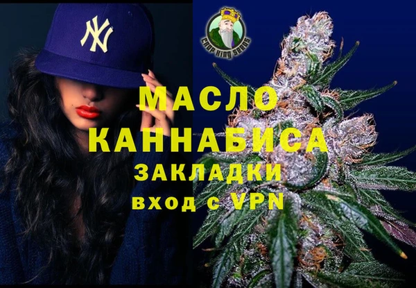 индика Армянск