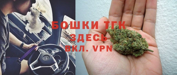 индика Армянск
