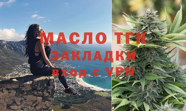 индика Армянск