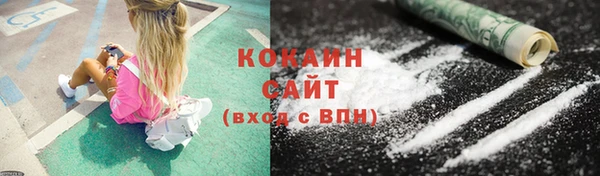 индика Армянск
