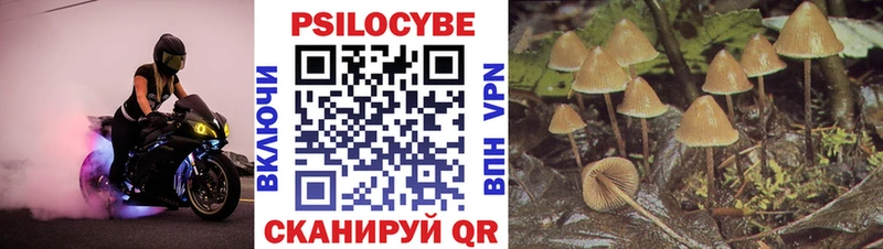 Галлюциногенные грибы мицелий  Кяхта 